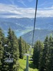 resIMG_20220616_134859_IMG_8997_HEIC.jpg